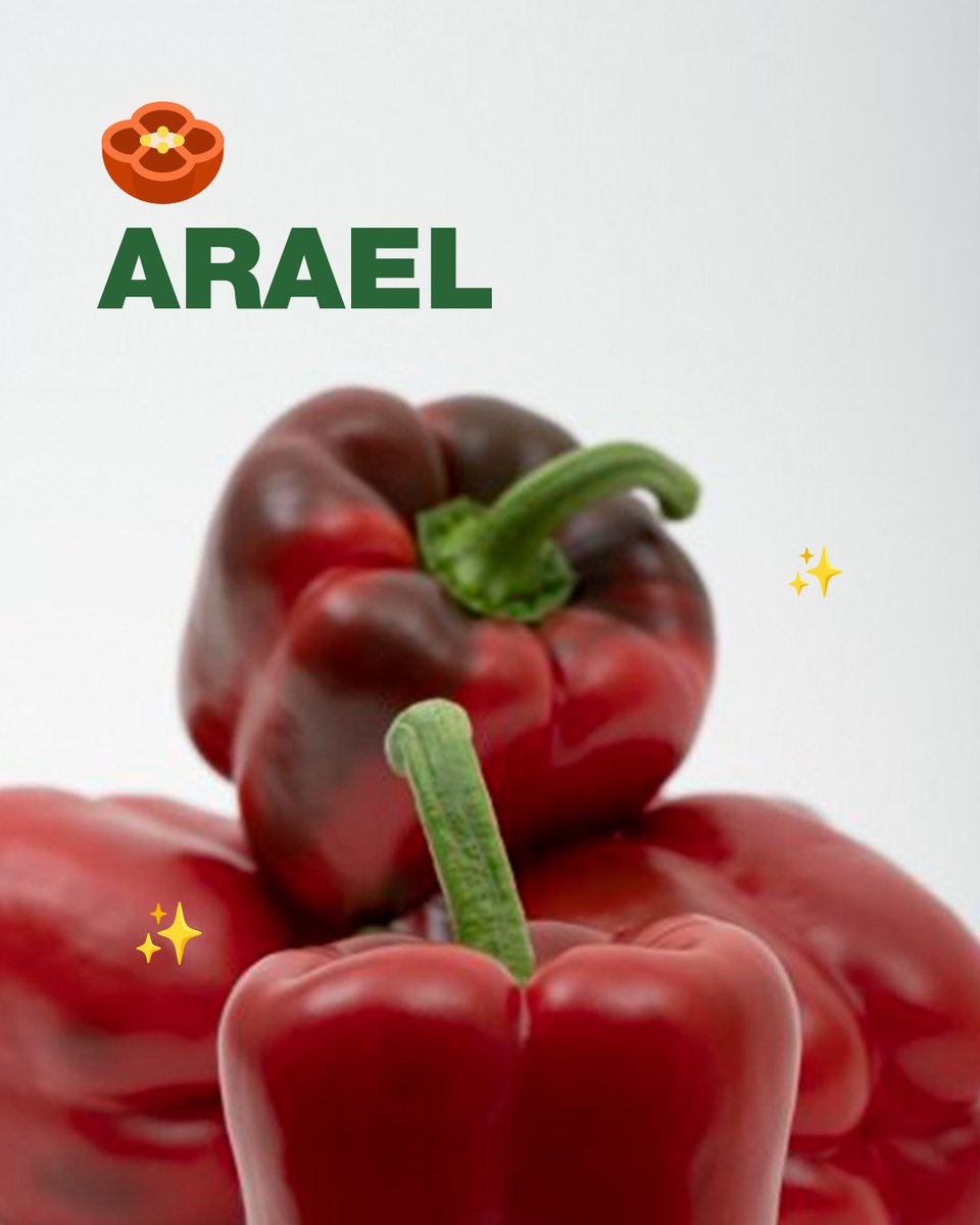 Pimientos Barreiros &amp; Arael 

🔹 Barreiros: Resistente a ceniza, ideal para otoño en Almería. Recomendado por su alta producción.

🔹 Arael: Calidad y durabilidad en planta. Resistente a BER y sobremaduración, con un color de fruto impresionante.

#CultivaSeminis #BayerSeminis 🫑