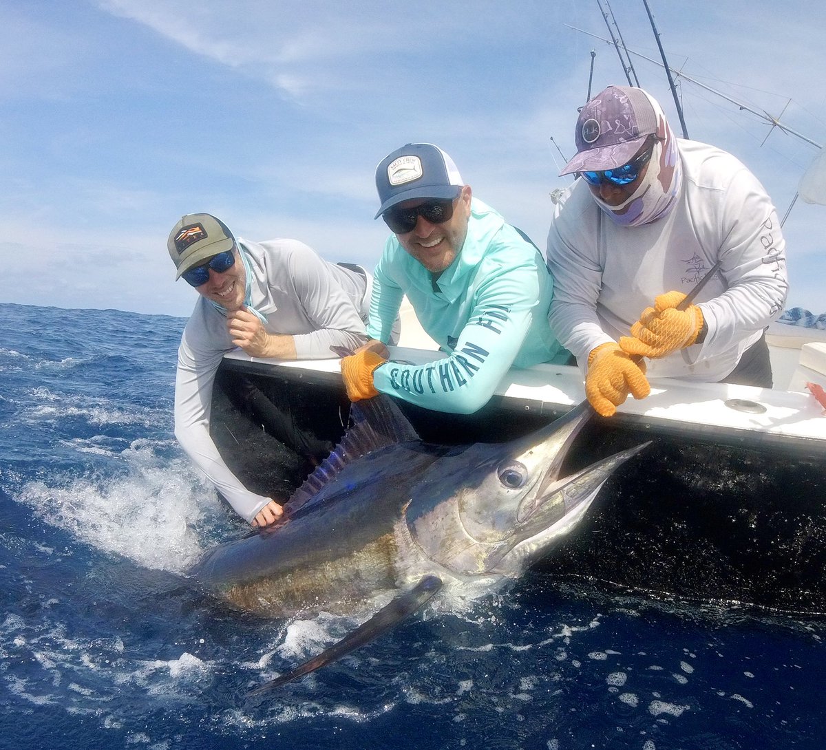 Pacific Fins tweet media