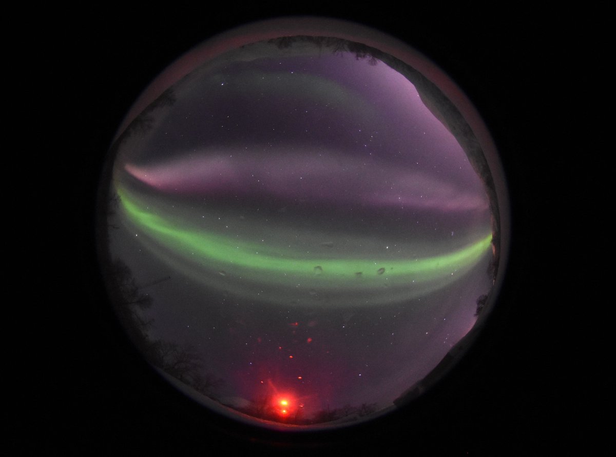 esa_swarm's tweet photo. Ever since #aurora chasers discovered Steve, a mysterious ribbon of purple light in the night sky, scientists wondered whether it might have a secret twin...

Now, thanks to a photographer’s keen eye and data from @ESA_EO's Swarm, we may have found it!

👉https://t.co/FhZIfn4gX6 https://t.co/YyHCwtlbc8