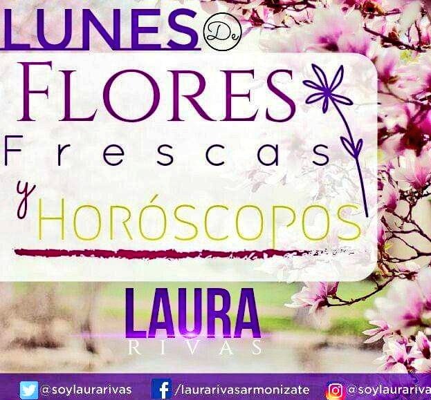 Laura Rivas tweet media