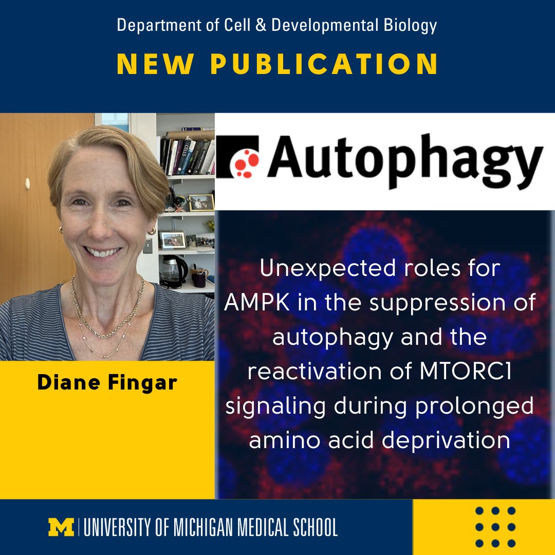 New Publication from the Fingar Lab!

"Unexpected roles for AMPK in the suppression of autophagy and the reactivation of MTORC1 signaling during prolonged amino acid deprivation," has been published in Autophagy.

michmed.org/GqkBw

#Research #CellBiology #CellSurvival