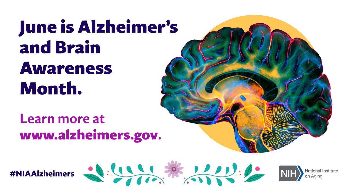 This #AlzheimersAndBrainAwarenessMonth we’re spotlighting NIA’s research and resources that support Latinos living with #dementia, their caregivers, and families. Join us by following #NIAAlzheimers and visiting go.nia.nih.gov/3UAjyfK.