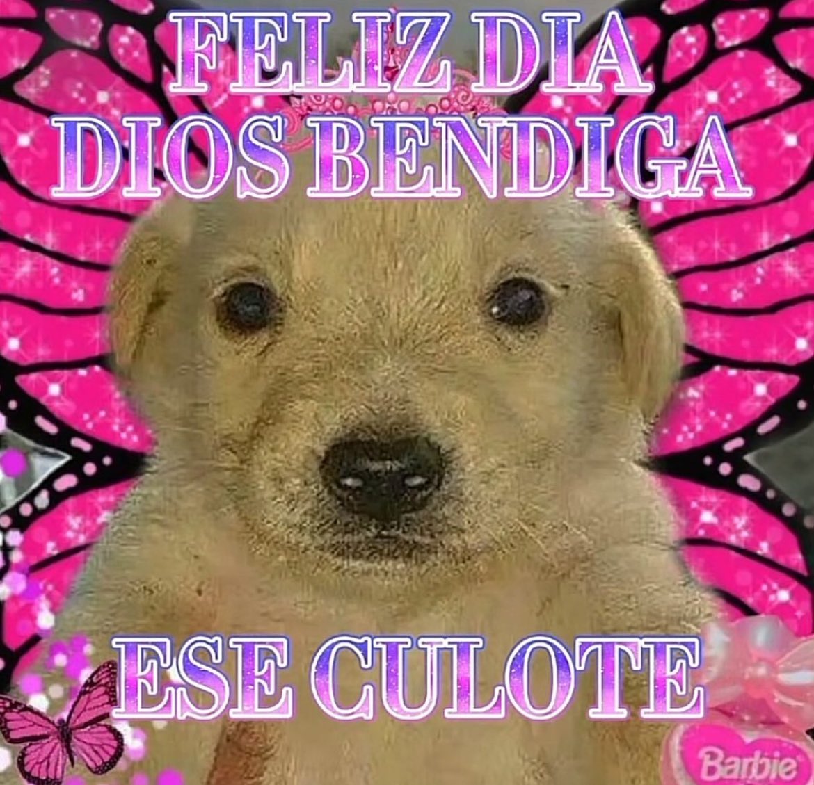 _onerolita's tweet photo. https://t.co/mODqm8ggHV