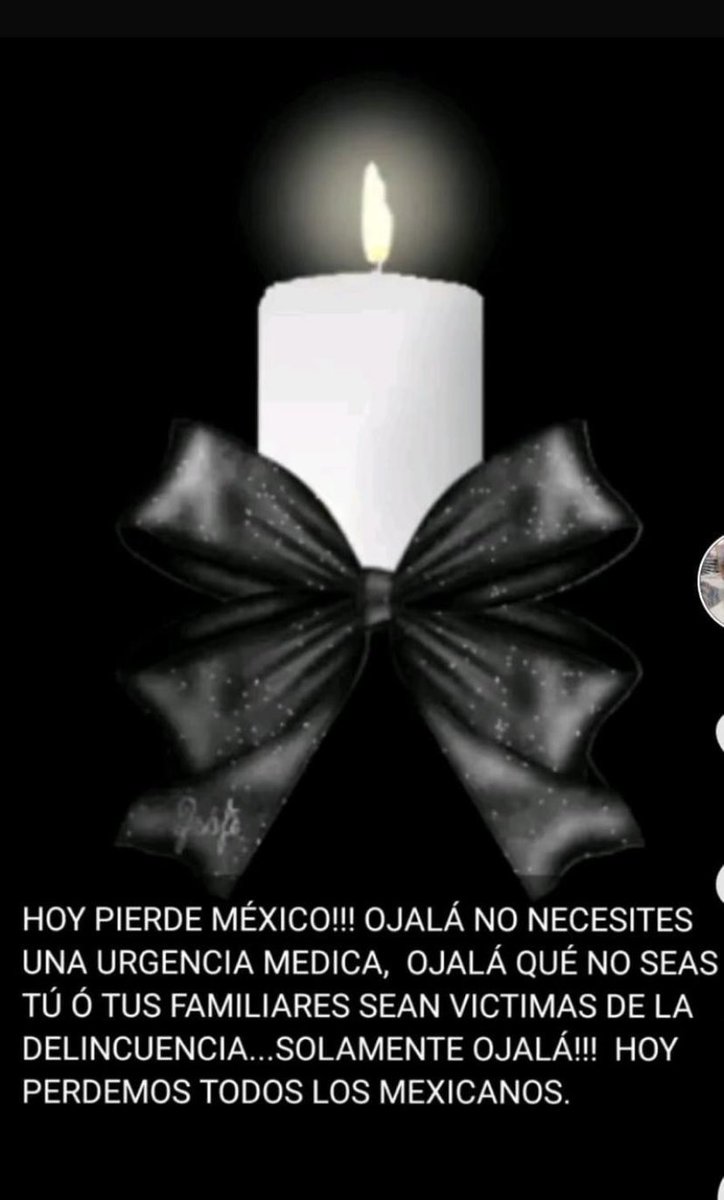 SergioPerezBus1's tweet image. 