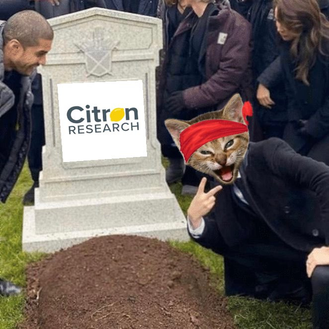 wallstreetbets's tweet photo. Citron didn't learn their lesson the first time 🪦 https://t.co/aZXlAguMam