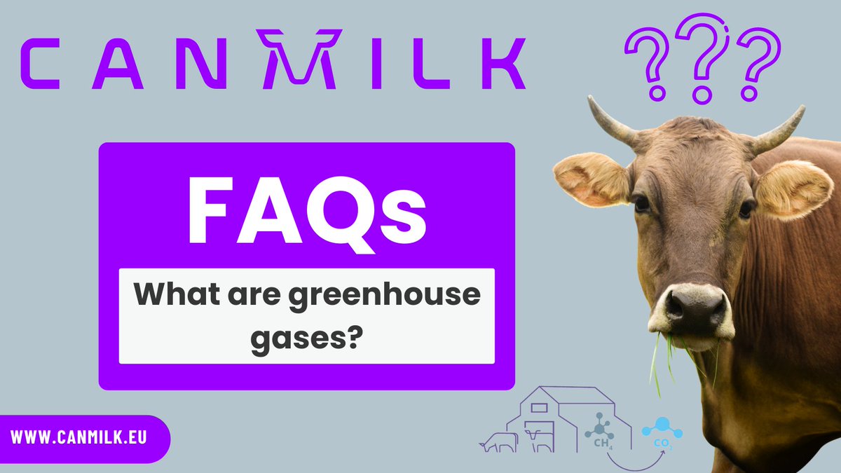 🌍 What are Greenhouse Gases? ☀️🌡️

CANMILK aims to reduce agricultural greenhouse gas emissions. These gases trap the sun’s heat, keeping Earth at 15°C instead of -18°C. Increased emissions intensify this effect, causing climate change. 

Learn more ➡ canmilk.eu/faq/