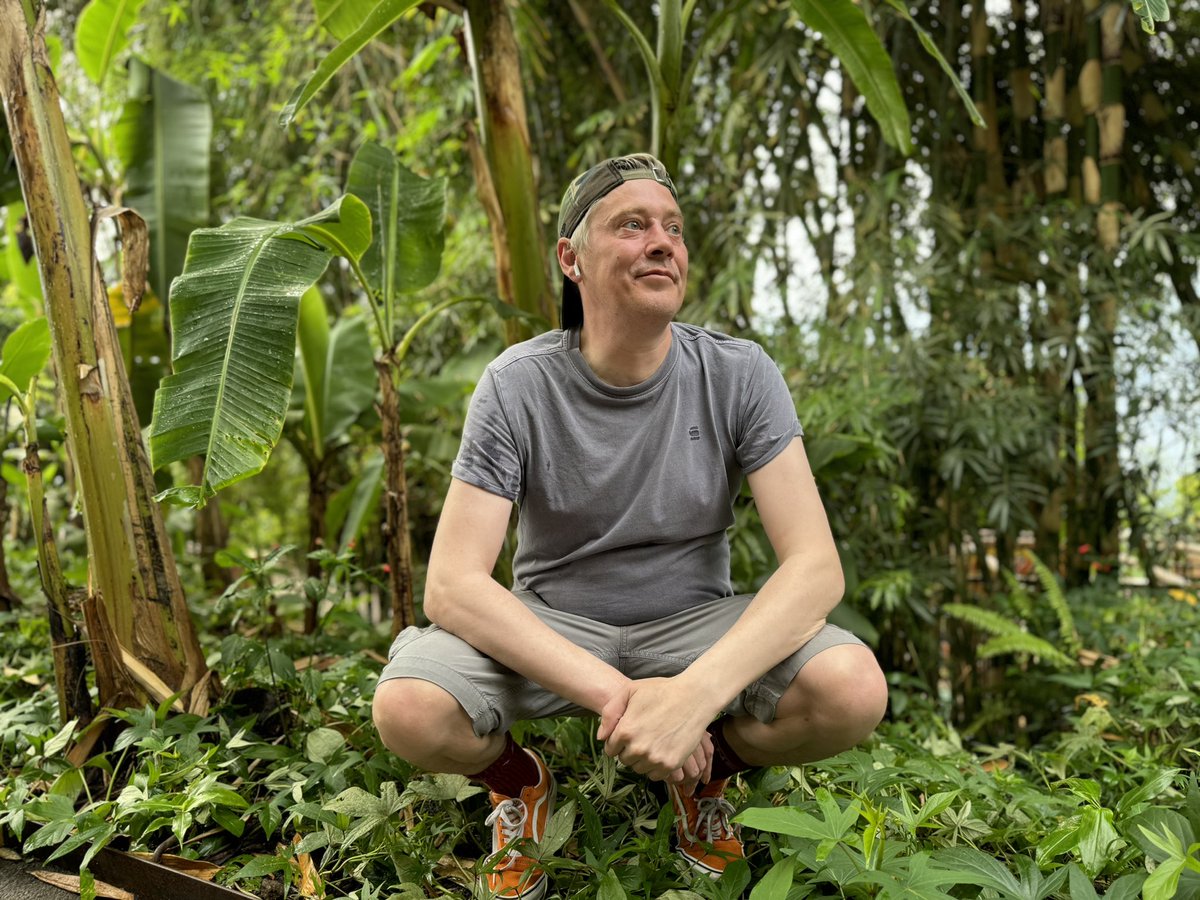 Ciaran Magill tweet media