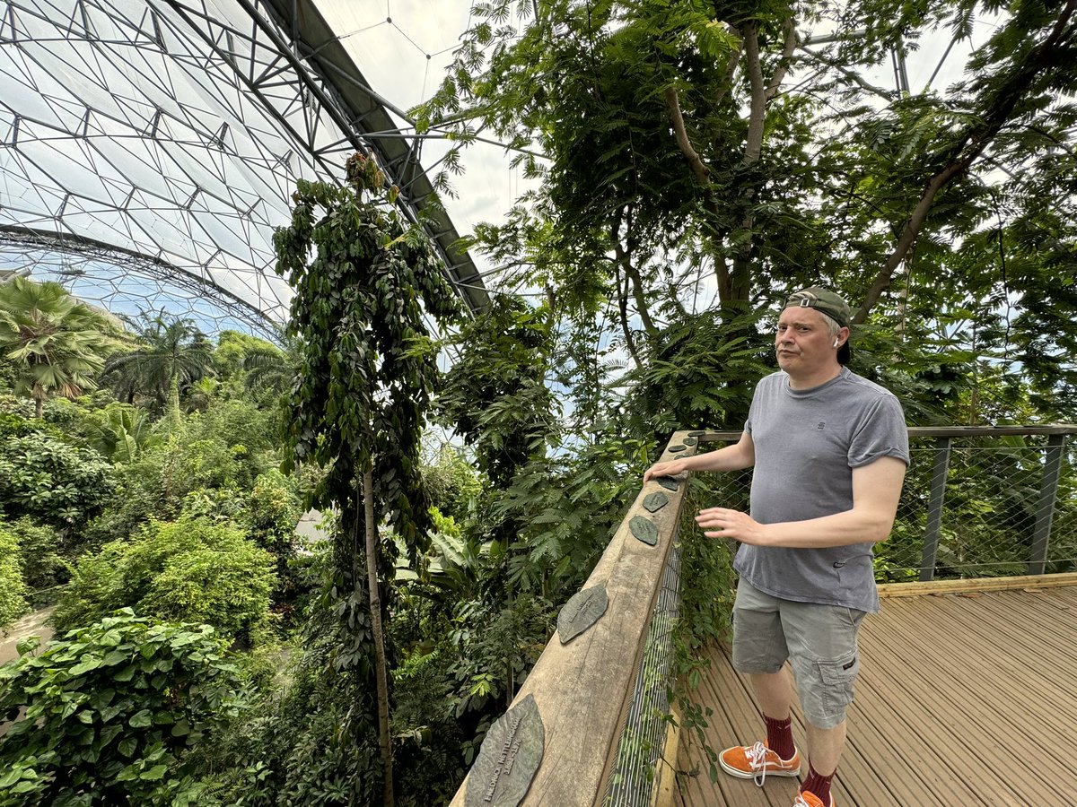 Ciaran Magill tweet media