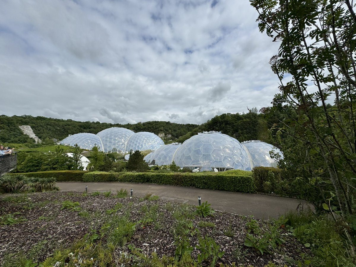 Ciaran Magill tweet media