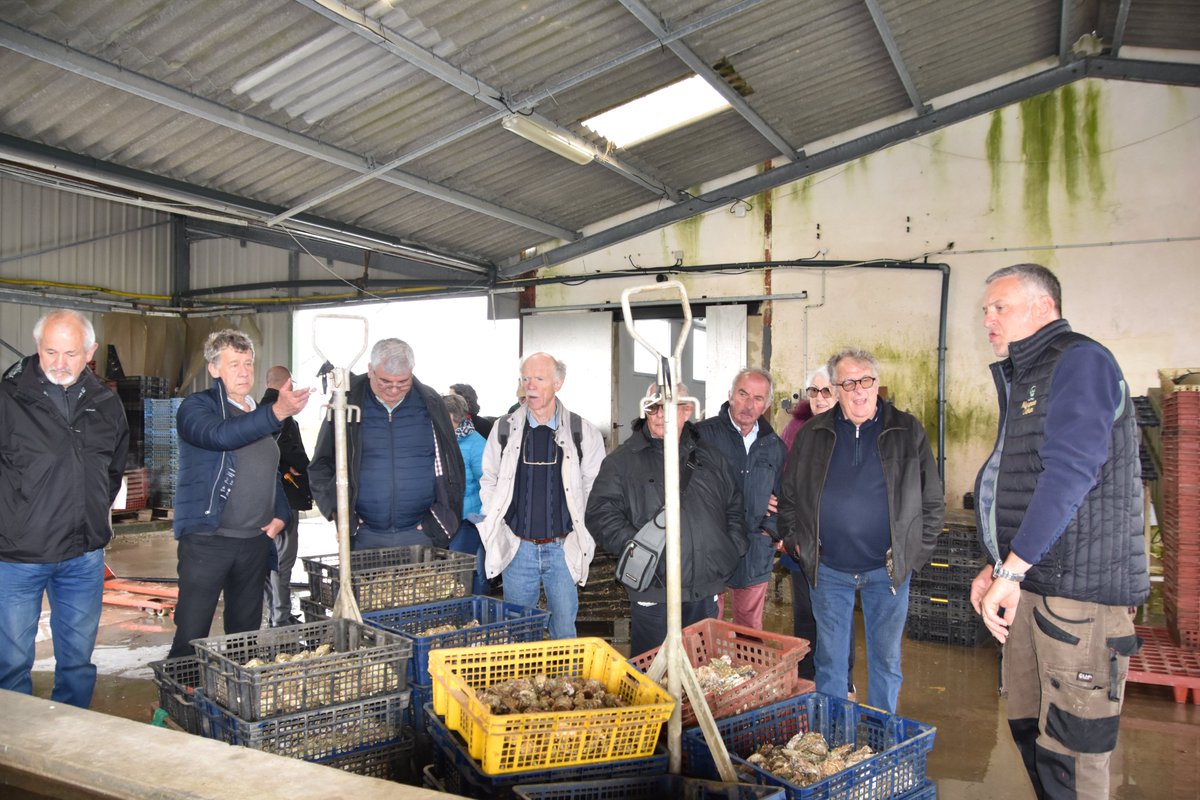 MSAdesCharentes's tweet photo. [🦪OSTRÉICULTURE🦪]

journée élus #MSAdesCharentes 

📢 Interventions sur l'emploi et la prévention 
✔️ Expérimentation escape game 🎲 "prévention"
✔️ Présentation de l'exosquelette 🦾
✔️ Présentation de l'activité 🦪

#ostréiculture #emploisaisonnier #élusMSA #exosquelette https://t.co/FJfjksjxgu