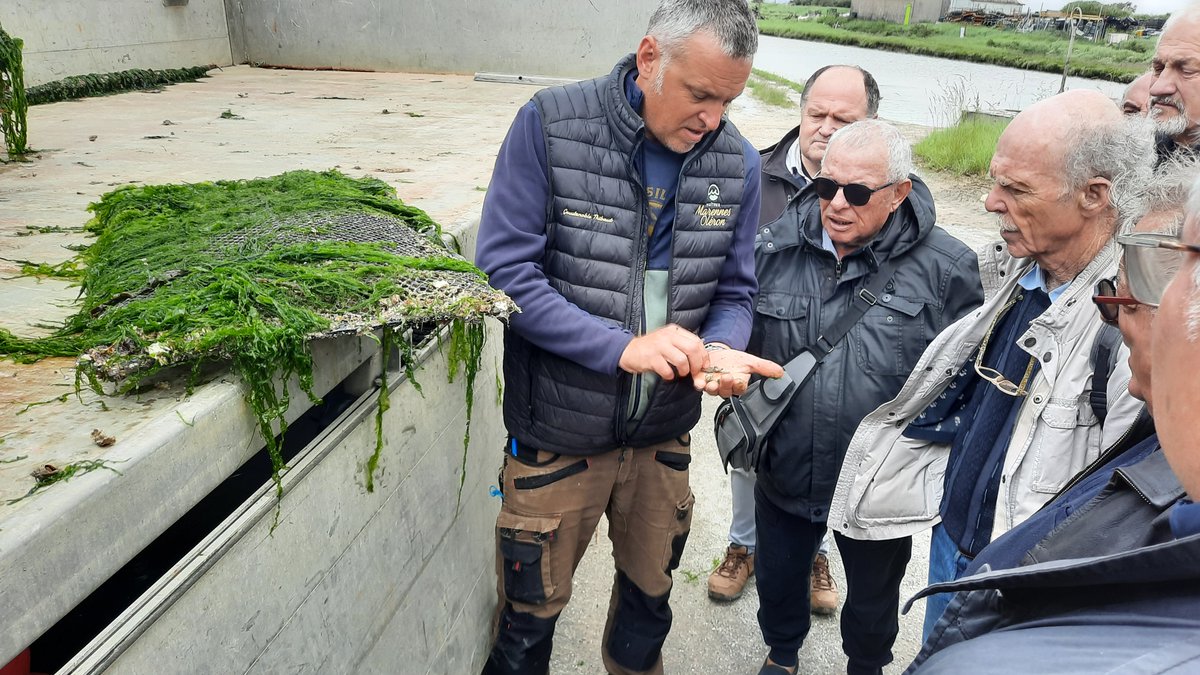 MSAdesCharentes's tweet photo. [🦪OSTRÉICULTURE🦪]

journée élus #MSAdesCharentes 

📢 Interventions sur l'emploi et la prévention 
✔️ Expérimentation escape game 🎲 "prévention"
✔️ Présentation de l'exosquelette 🦾
✔️ Présentation de l'activité 🦪

#ostréiculture #emploisaisonnier #élusMSA #exosquelette https://t.co/FJfjksjxgu