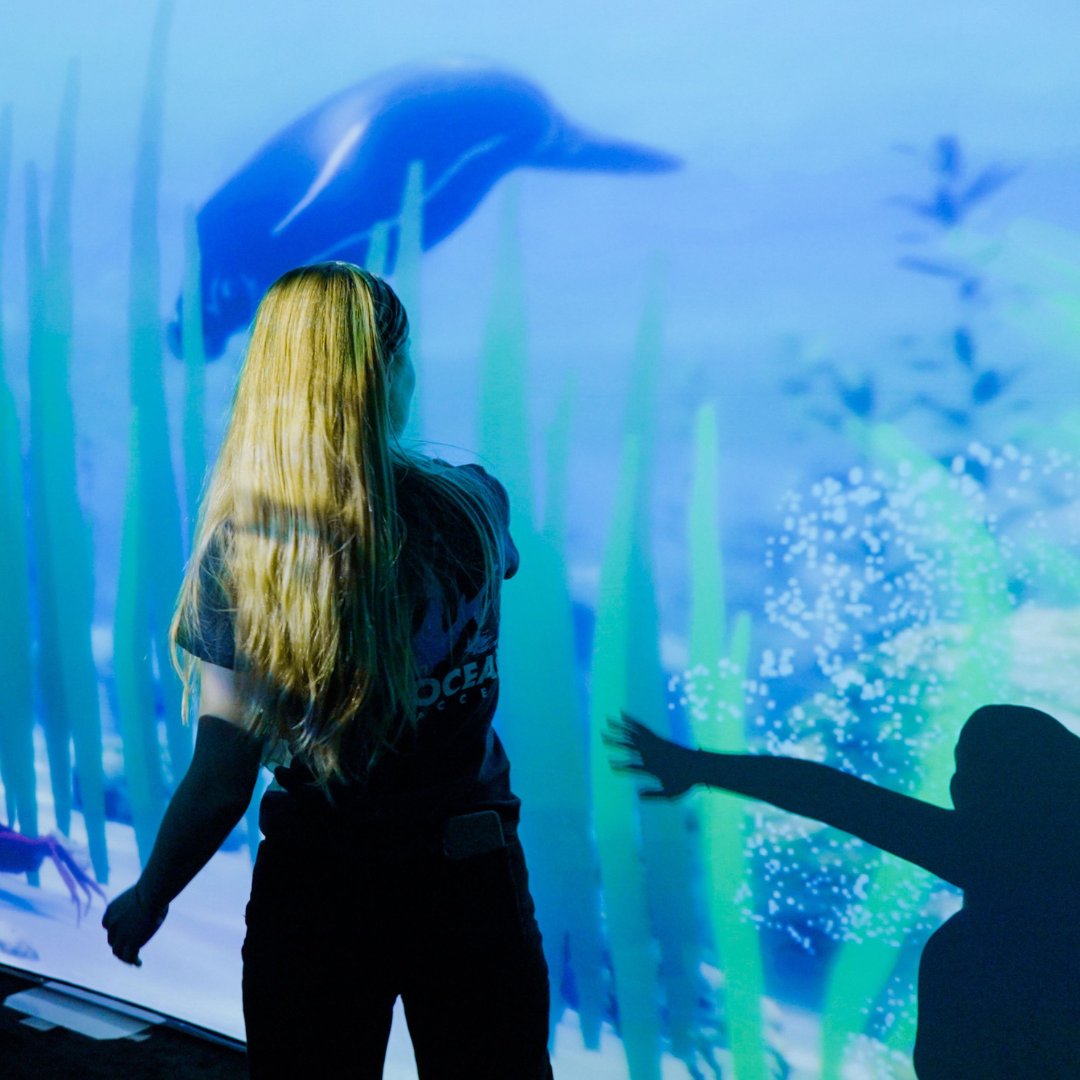 tellart's tweet image. Good news! We&apos;re happy to share One Blue Voice has won a Silver award in digital installations at the @europeandesign, bringing ocean life experiences to racing ports around the world. 🏆 

🔗 bit.ly/3yUFkU7

@11thHourRacing @theoceanrace #immersivedesign #oceanrights