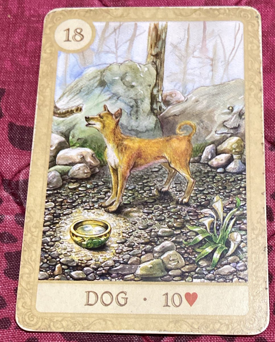 Gêmeos ♊️:
Dias bons estão chegando, porque você vai começar a enxergar onde está acertando- e consequentemente, ganhando mais confiança.
Você vai passar mais tempo de qualidade com amigos e terá mais facilidade pra fazer novos contatos (que vão agregar em boa companhia)
No amor,