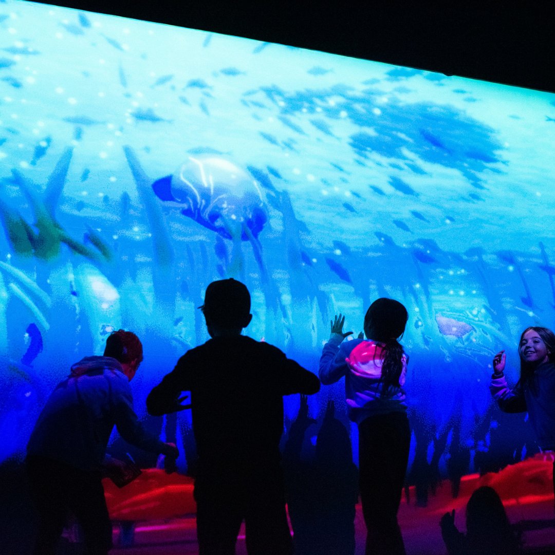 tellart's tweet image. Good news! We&apos;re happy to share One Blue Voice has won a Silver award in digital installations at the @europeandesign, bringing ocean life experiences to racing ports around the world. 🏆 

🔗 bit.ly/3yUFkU7

@11thHourRacing @theoceanrace #immersivedesign #oceanrights