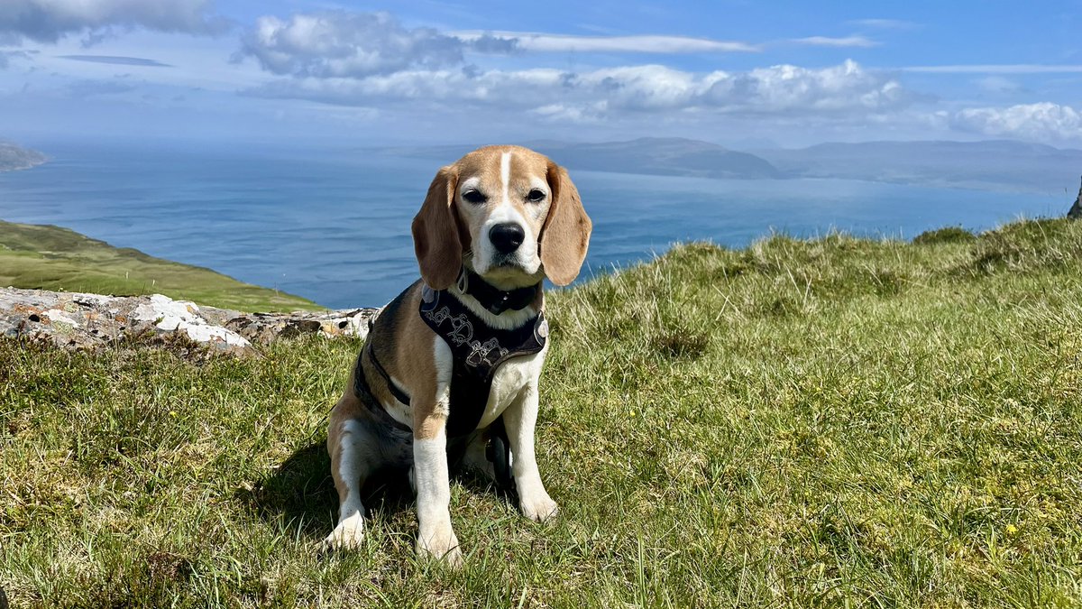 Agzygroove tweet media