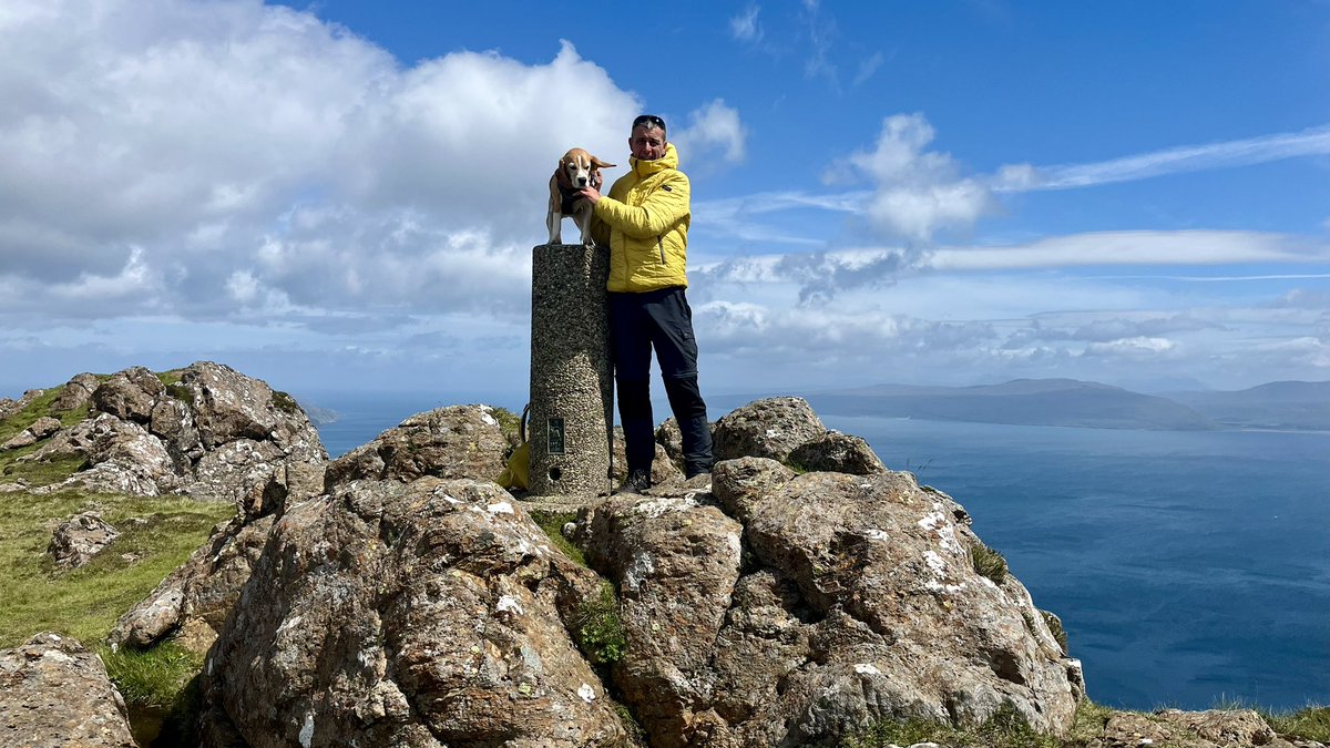 Agzygroove tweet media