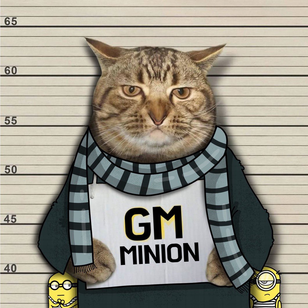 Booksey's tweet image. Should we give away some $CUFF on spaces today?

Drop your $SOL wallets you don’t have much time ⏰