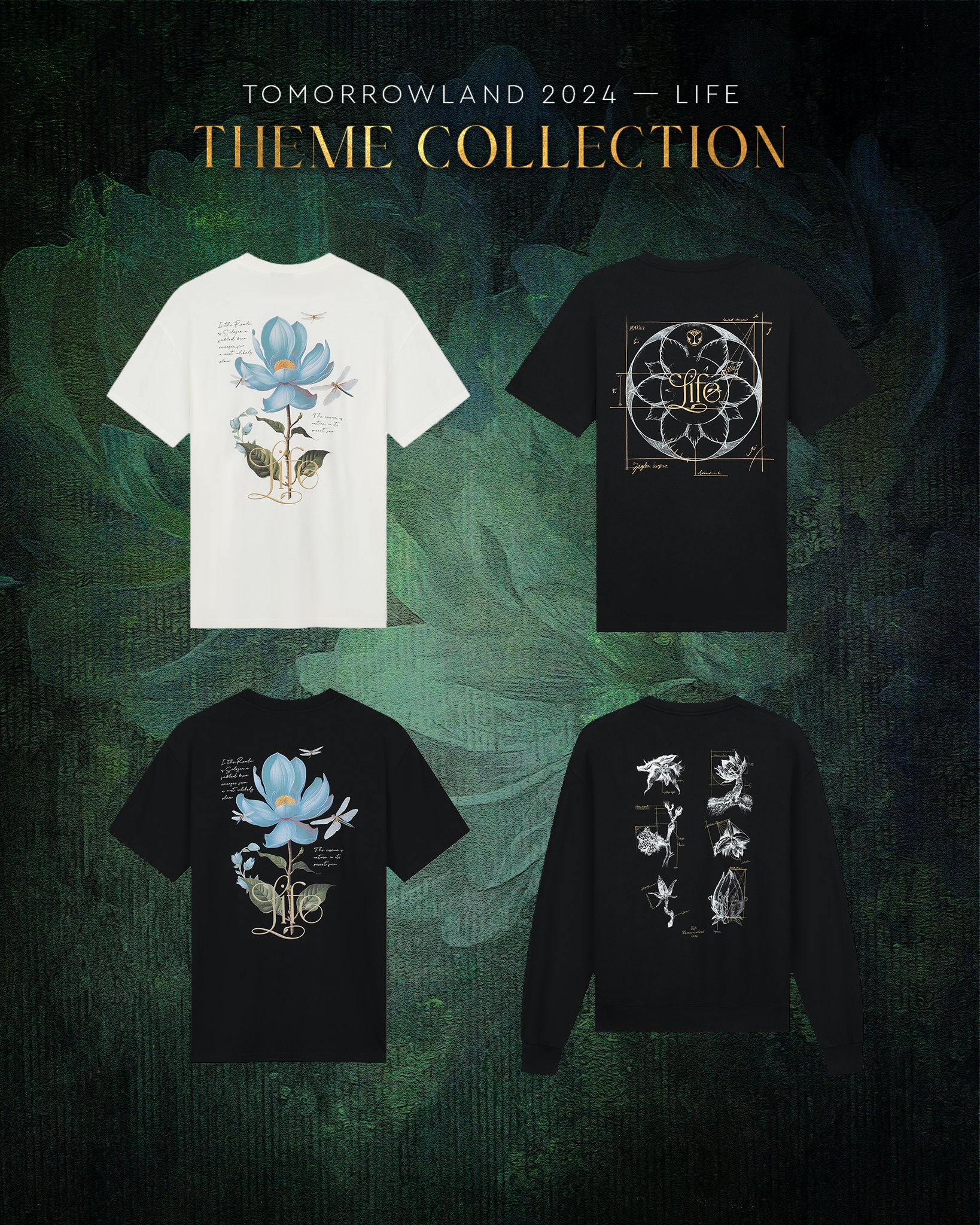 専用です。TOMORROWLAND collection 2024SS FALL 2024 EXCLUSIVE ITEMS | トゥモローランド 公式通販