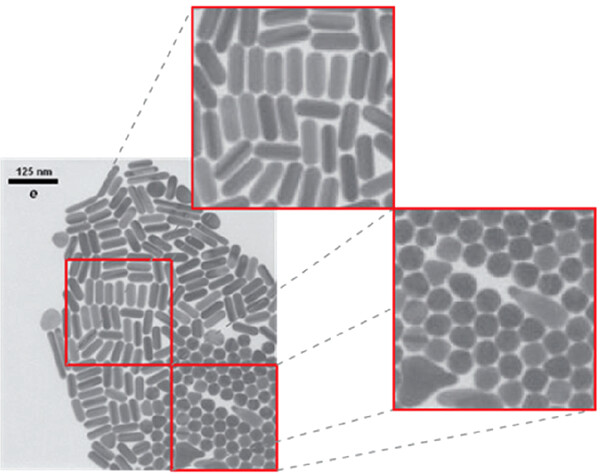 acsnano's tweet photo. Reporting microscopy data in your manuscript? Read this @acsnano #Editorial from @EmatSarabals @LizMarzan_Lab et al. https://t.co/VSjjG9s7ig