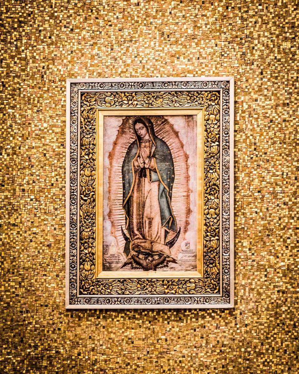 🇲🇽¡Tranquilos! En México hay nueva presidenta, pero la reina sigue siendo la misma

Ella es la verdadera y única MORENA y no nos va a dejar solos nunca. Hoy y siempre recordemos sus palabras: “No estoy yo aquí que soy tu madre”