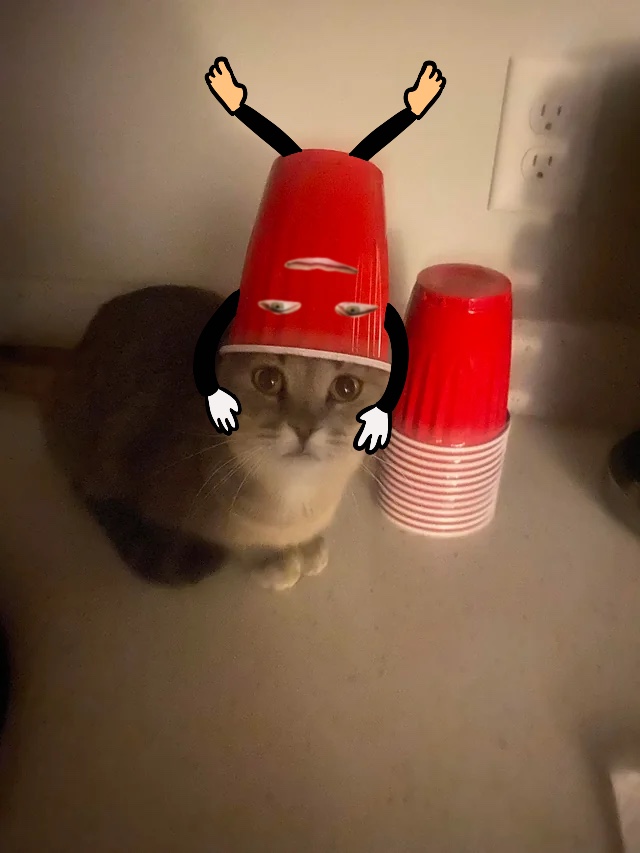 You've got 24 hours to save this cat. $REDCUP about to eat it whole. 

Move now $MICHI $POPCAT $SC