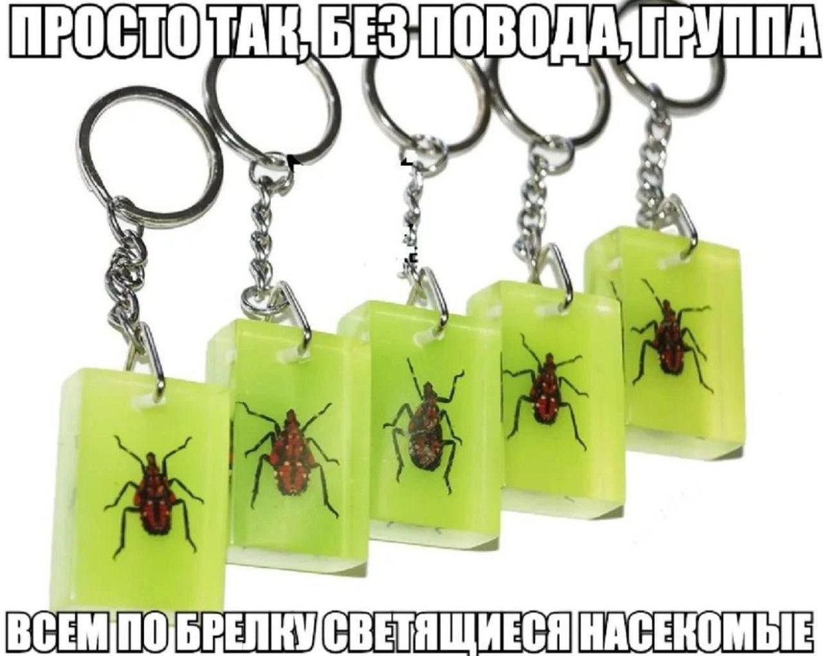 потертый пакет (@vasha_zanoza) on Twitter photo 