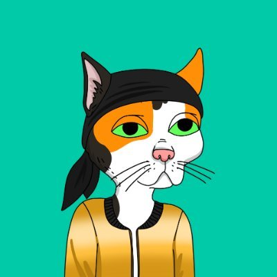 🐱🏴‍☠️ Meet our bandit cat! This ginger baby in a black bandana and bright yellow jacket knows exactly how to be stylish and unique! 😼💛