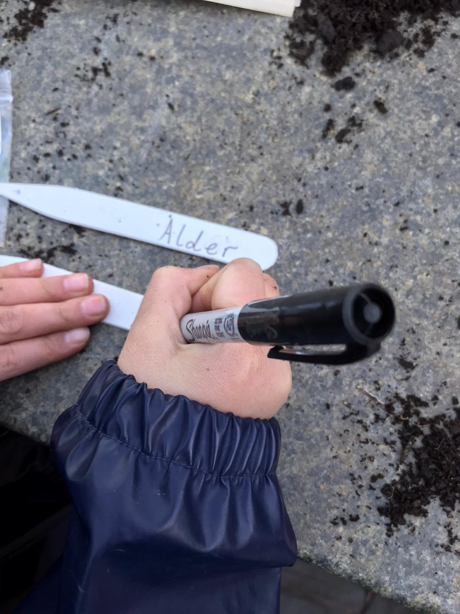ScotswoodGarden's tweet photo. One of our brilliant youth groups, Adventure Rangers, did some excellent work sowing Alder and Silver Birch tree seeds. Hopefully contributing more new trees to Living Wood's target of 50,000 by 2026 as part of the #seeds2trees initiative👏👏👏
#treeplanting #youthgroups #charity https://t.co/tHmL2usIXZ