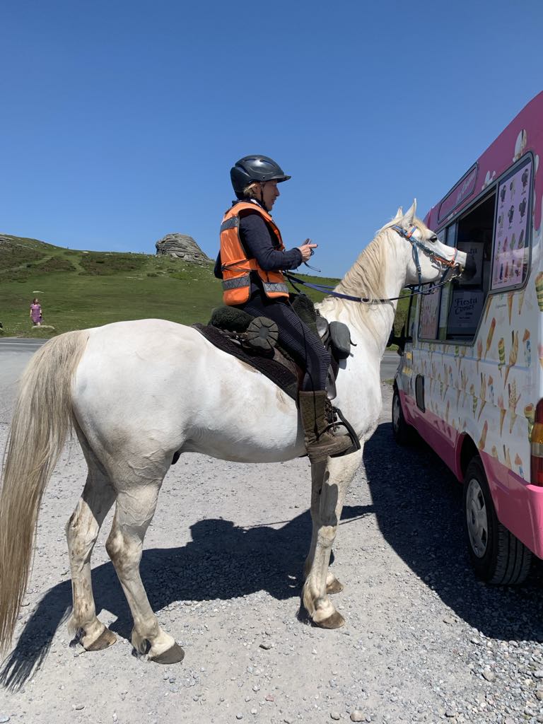 <a href="/El_Boran/">Rocky Da Horse</a> #Dartmoor #Haytor