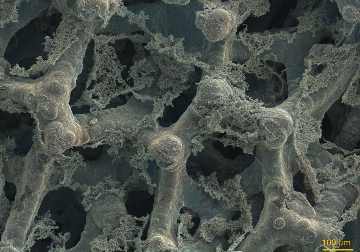 #ConcursoFotoSECV <a href="/SocEspCeramVidr/">Sociedad Española de Cerámica y Vidrio (SECV)</a> Ceramica electrica. Electrodo de una batería metal-aire  hecha a traves de materiales cerámicos, generando porosidades y estrucutras que otros materiales no pueden alcanzar.