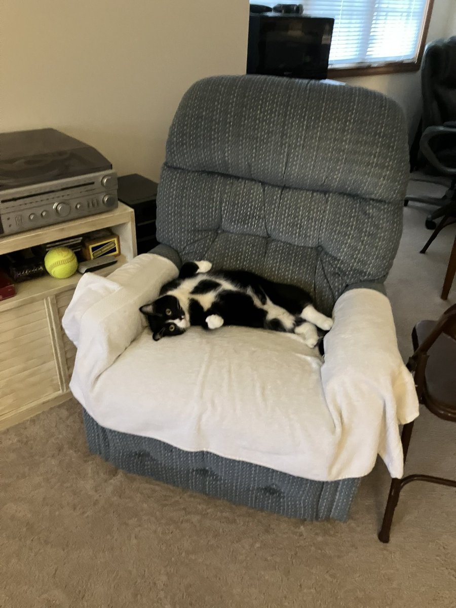 Claire Long tweet media