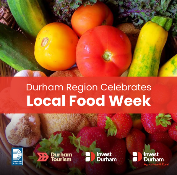 This week is #LocalFoodWeek! Join us in celebrating all things local food in Durham Region. Stay tuned for lots of food and farming content over the next week and be sure to shop farm-fresh. bit.ly/4bEdxpL