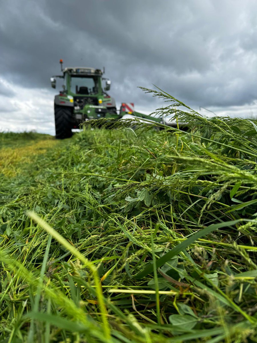 #QUIZ Qui suis-je ? 🌱

- Lupin
- Feverole
- Luzerne

🔎 Indice : plantée une fois, je suis récoltée 4 à 5 fois par an, de mai à octobre.

📸 <a href="/Thierry_Agri/">Thierry Agriculteur d'Aujourd'hui</a>