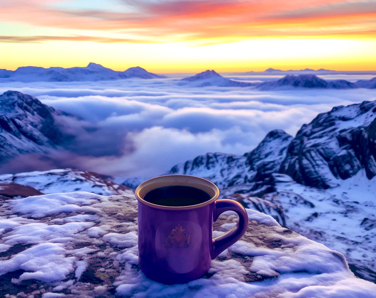 saalu4m's tweet image. i love the smell of freshly brewed coffee in the morning... and the sound of nobody talking to me while I drink it. #PeaceAndQuiet