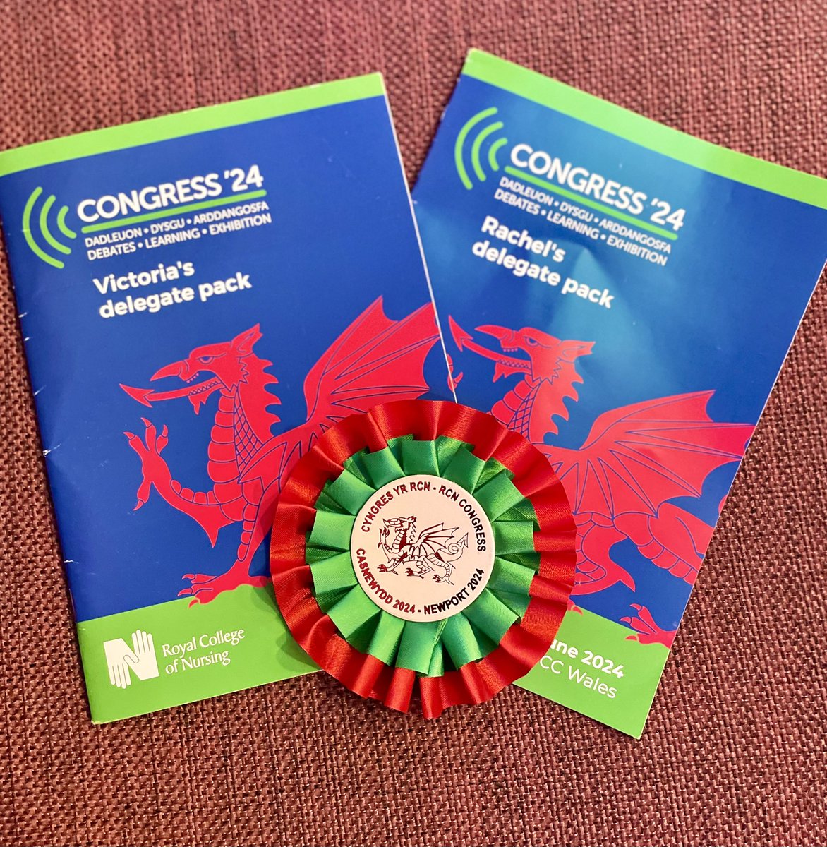 BladderBowelABB's tweet photo. First time attending Congress #RCN24 @CoghlanVictoria @RachelL95326035 getting to grips with debates and resolutions. Lots to take on board! https://t.co/kheuJShfQ7