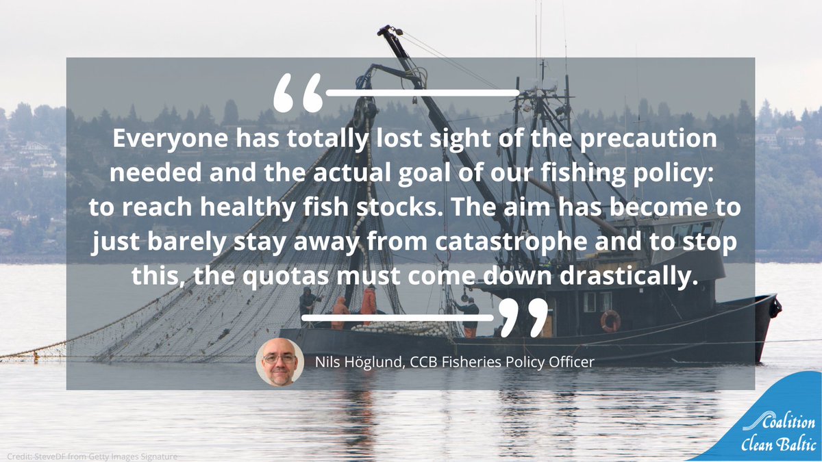 NGOs call on decision makers to do right by the #BalticSea ecosystem – new  scientific advice shows that Baltic fish stocks are still under stress 🐟⚠️

👉joint PR: bit.ly/3Vo1neU

#StopOverfishing #fishstock