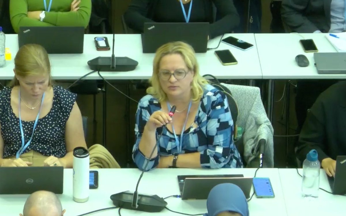LossandDamage's tweet photo. At the Tenth Technical Expert Dialogue (#TED10), @liane_boell of @boell_us and @WGC_Climate asks how can we reported qualitative elements such as #GenderResponsiveness in New Collective Quantified Goal on #ClimateFinance (#NCQG)? https://t.co/ObvxQXfUps