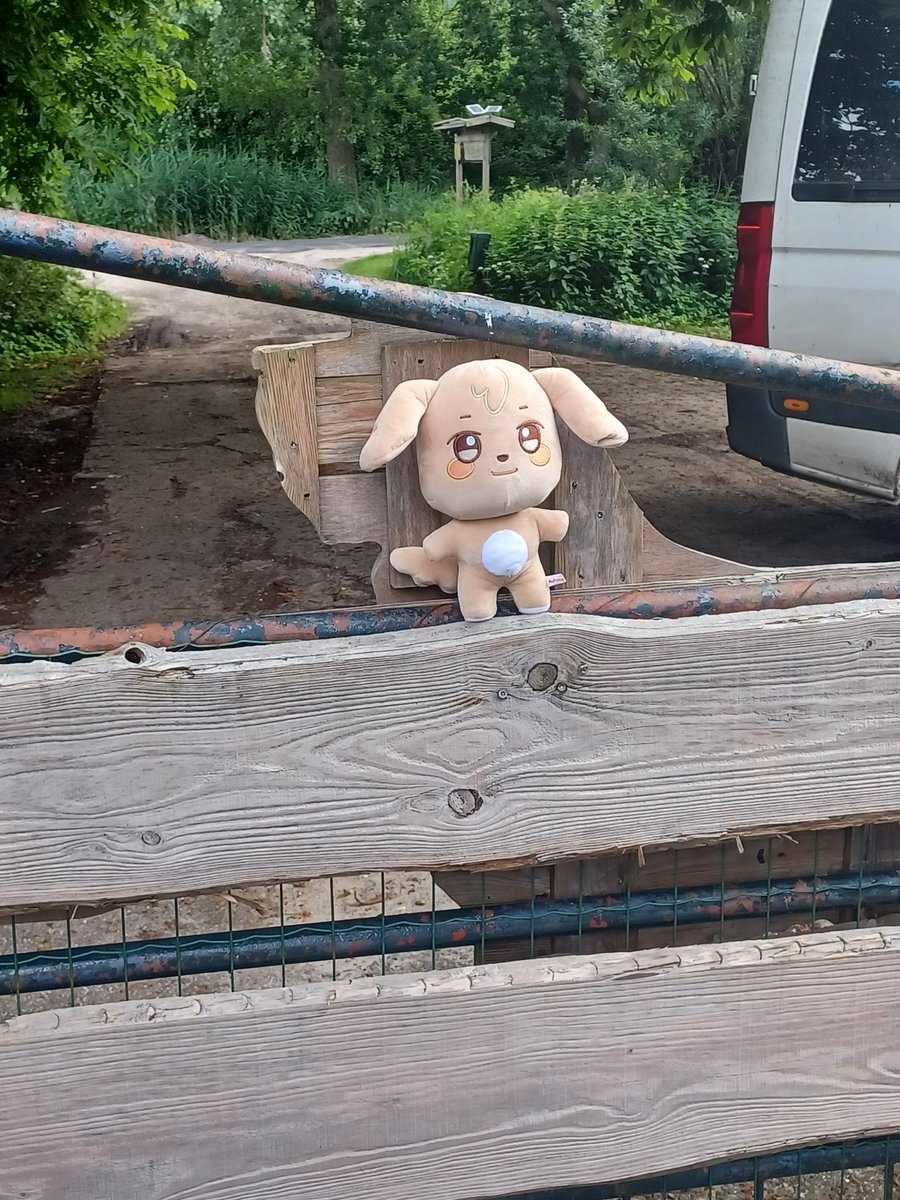 YasmijnL's tweet photo. TYUdeongi works as a farm dog, helping to look over all the animals, feed and protect them. At the end of the day he needs to sleep well for the next day.

#ATEEZ #에이티즈 #GOLDENHOUR #GoldenHour_Part1 
#WORK 
#ATEEZ_WORK_코디왕 https://t.co/e2dwqNA6Xs