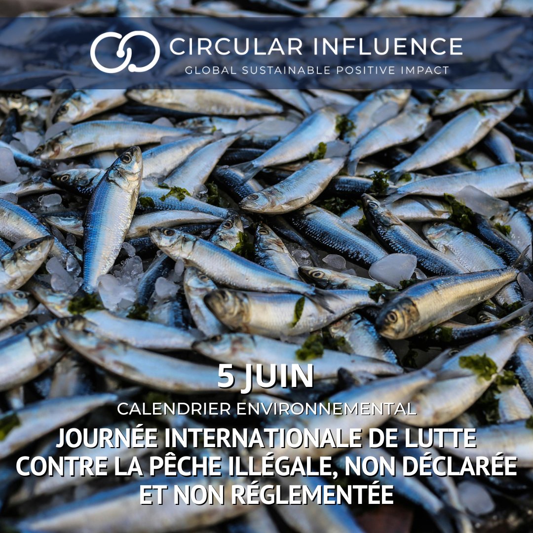 CircularInfluen's tweet image. #Fisheries provide a vital source of food, employment, recreation, trade and #economic well-being for people throughout the world. In a world of growing population and persistent hunger, fish has emerged as an important commodity for the achievement of food security.