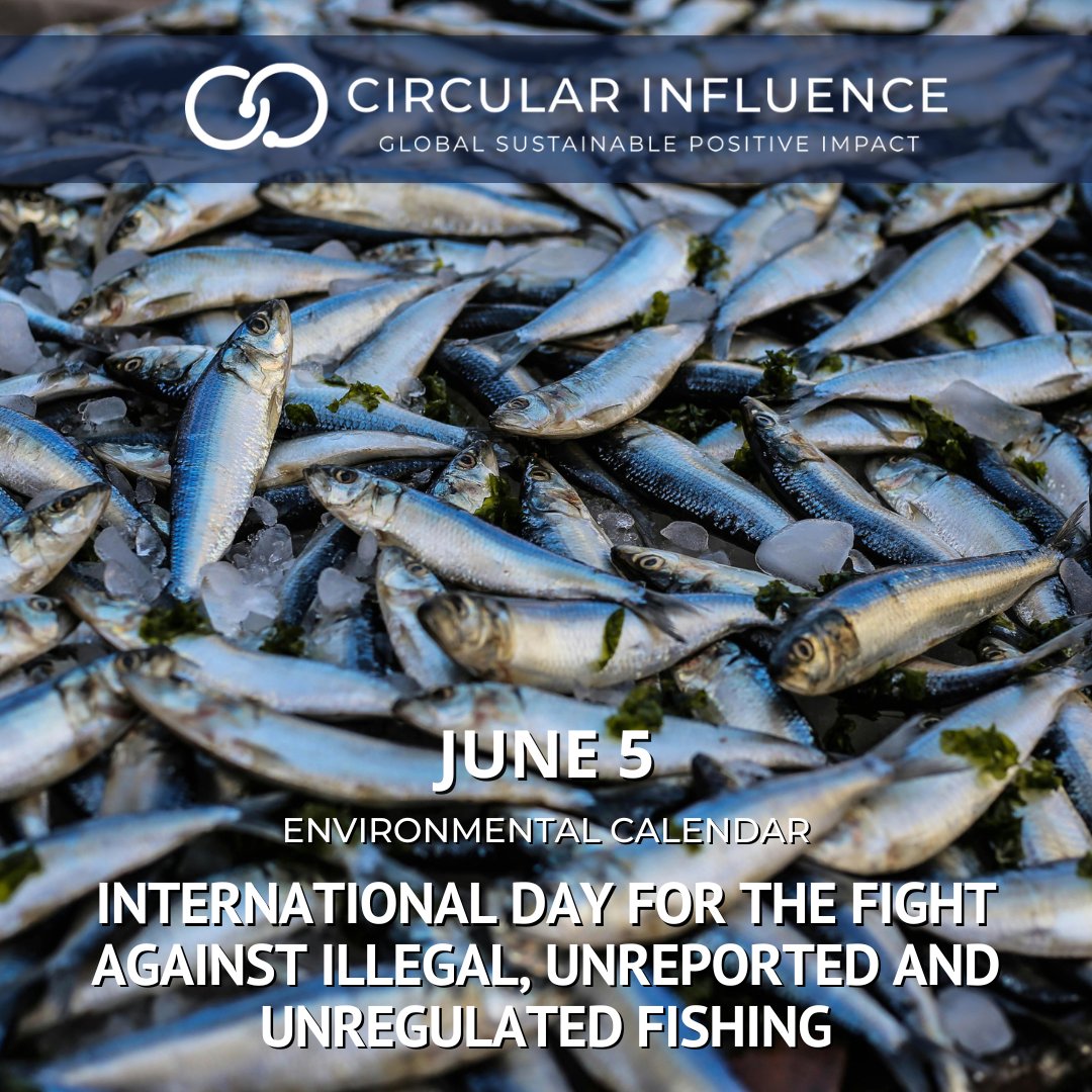 CircularInfluen's tweet image. #Fisheries provide a vital source of food, employment, recreation, trade and #economic well-being for people throughout the world. In a world of growing population and persistent hunger, fish has emerged as an important commodity for the achievement of food security.