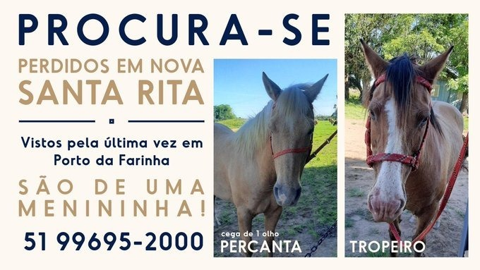 🔎 PROCURA-SE: Percanta & Tropeiro! 🐴 🏙️: Nova Santa Rita - RS Vistos pela última vez em Porto da Farinha! São pets da família e a menina está muito triste! 🥺 Percanta Fêmea - Baia - Tem luzeiro na testa cega de um olho Tropeiro Macho - Gateado - Frente Aberta Marca SV