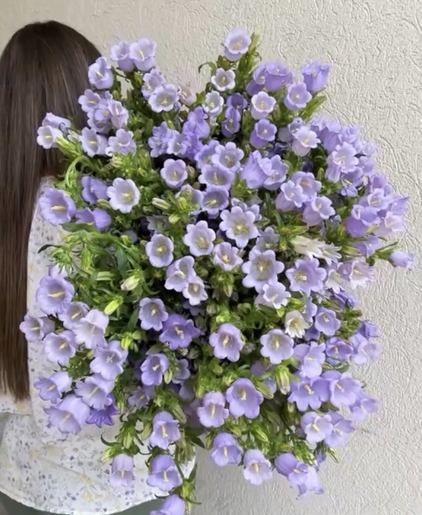 DVFlora tweet media
