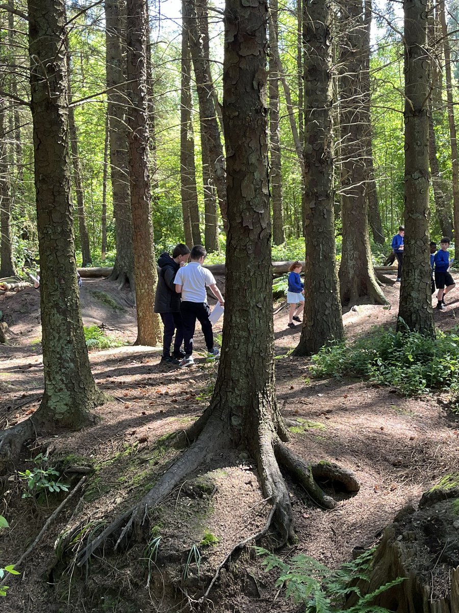 DeanburnP6HE's tweet photo. What perfect weather for orienteering in the woods with our friends in @DeanburnPS_P6M. I’m sure there will be some tired kiddos tonight! Thank you to our parent helpers for making this event possible 😊
(Back to the woods tomorrow too!) #DeanburnHealthWeek24 https://t.co/rSkuzPn8Me