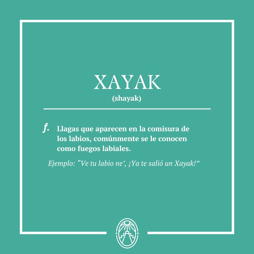 YucatanToday's tweet photo. No le deseamos a nadie que le salga un Xayak🔥pero en caso de que te ocurra, ¡ya sabes como decirle! 😅
#Xayak #Maya #Mayas #EsMuyYucateco #Yucatan #YucatanToday #Merida #Lunes #InicioDeSemana #PalabraDeLaSemana #Monday #VisitMerida #VisitYucatan https://t.co/pO0tJlCJxh