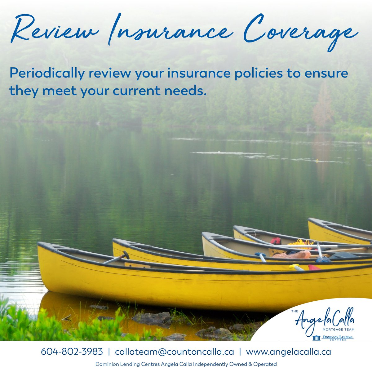 Angela Calla, AMP tweet media