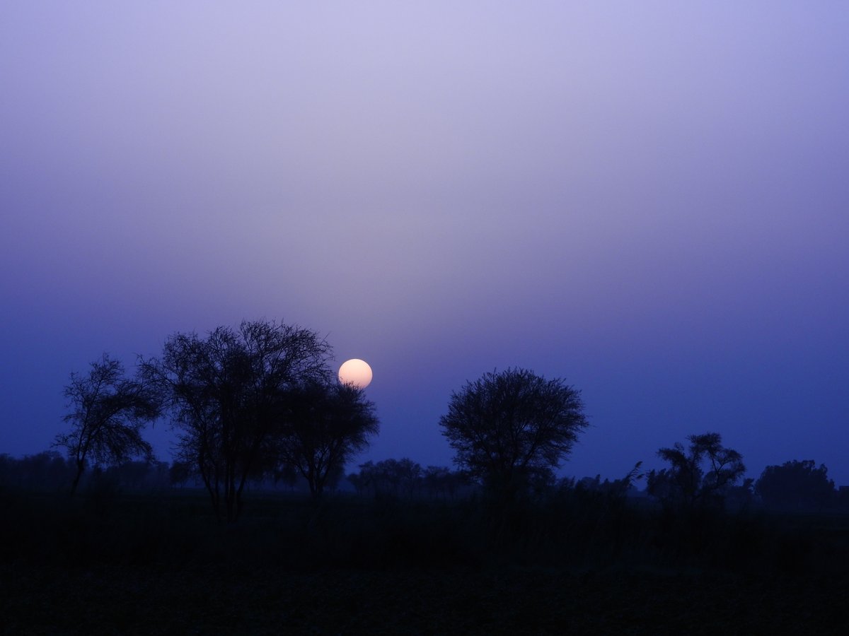 mmatalpur's tweet photo. #BlueSunSet https://t.co/Ry1qZK50jp