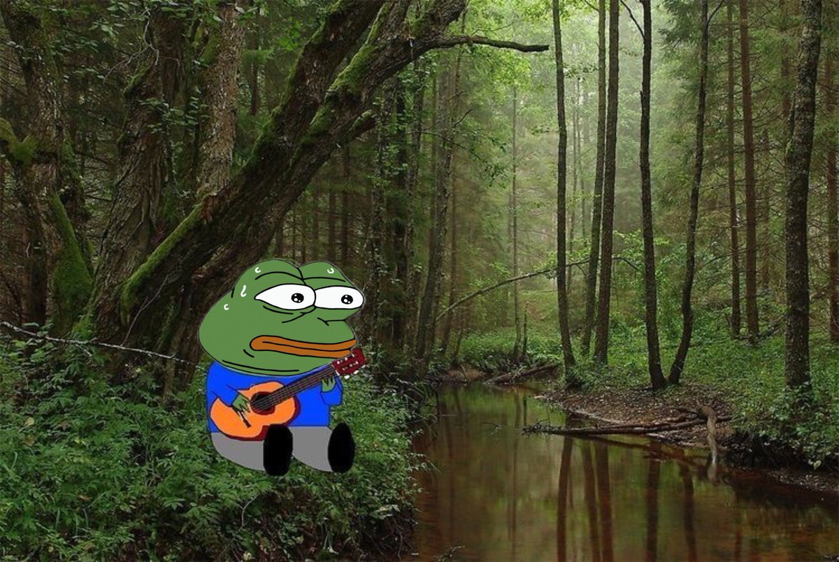 $MONKAS forgot where he parked his car will he make it out 🐸
