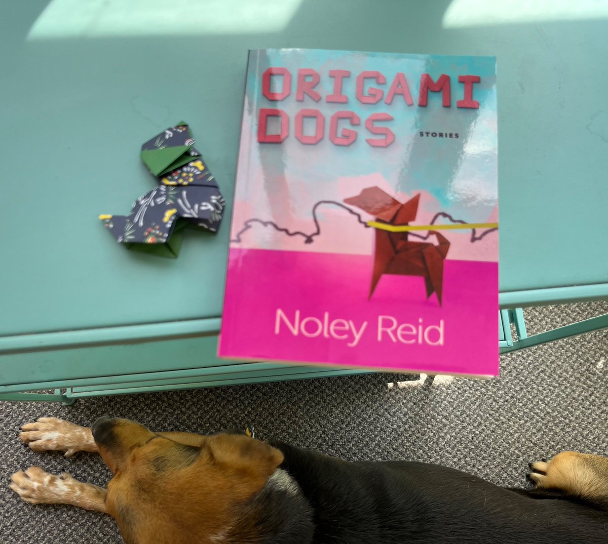 BySarahLayden's tweet photo. Loved getting to read with Noley Reid at @2ndFlightBooks in #Lafayette last Friday, and Rosie and I are enjoying porch time with Origami Dogs (and an actual origami dog) on this gorgeous afternoon. https://t.co/FfFQLIau6D