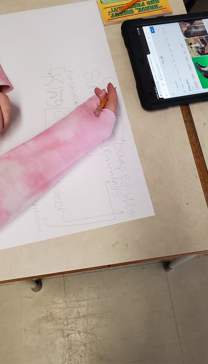 mjhalterCBE's tweet photo. Don't forget. We ate going on a walking  field trip tomorrow to Fish Creek. Please dress appropriately for being outdoors and in warm weather! 

Check out the Grade 3's food webs. They are tracing back the food chains starting with a apex predators. https://t.co/jMk2ctXQTf