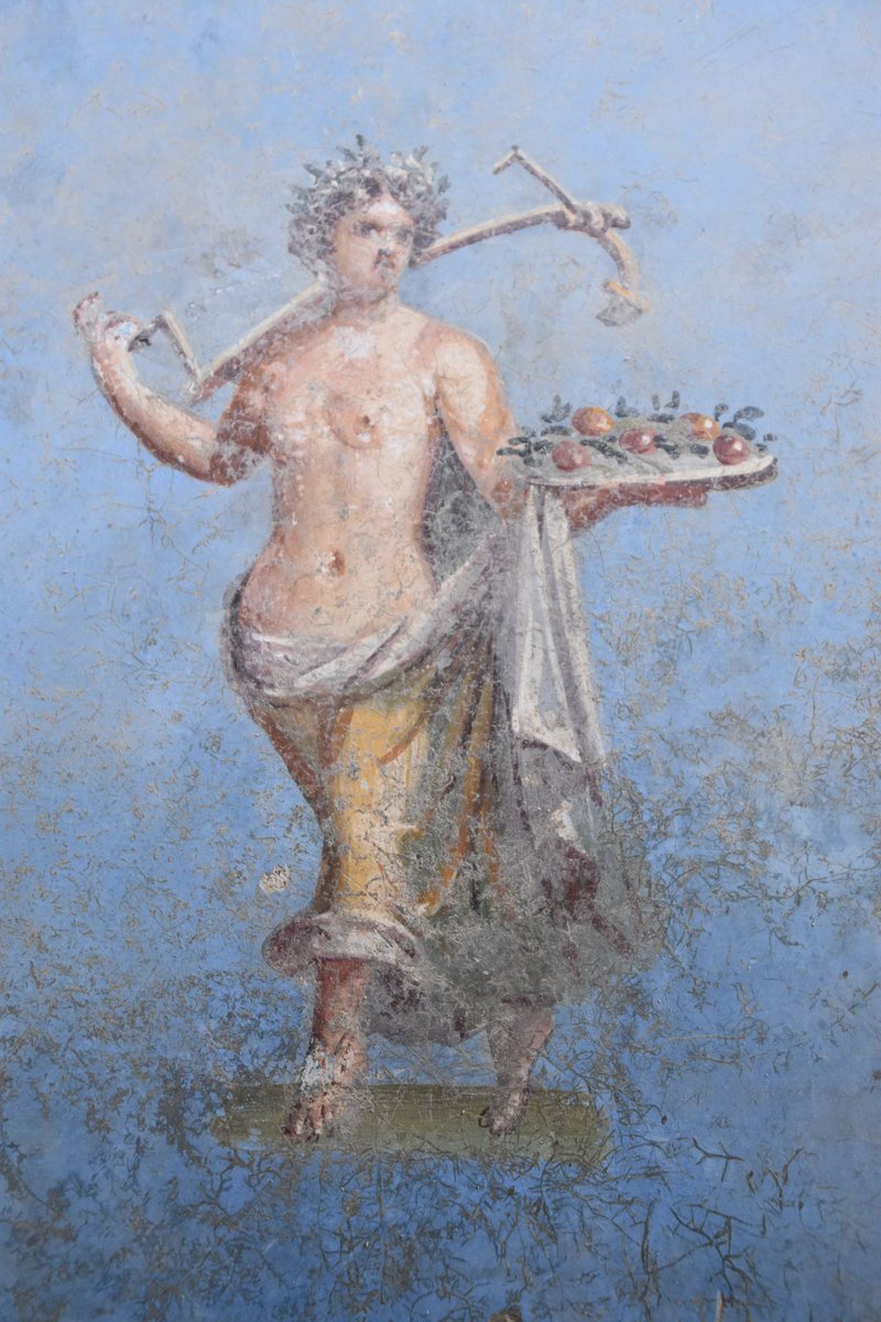 pompei79's tweet image. Blue is the new black (room) in #Pompeii.

pompeiisites.org/comunicati/pom…
@pompeii_sites